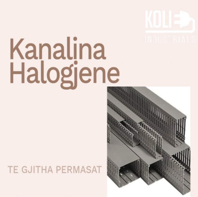 Foto 4 - Koli Industrials - Eficenca eshte sinonimi yne