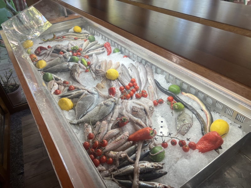 Foto 2 - Divjaka Fish – Shija e Detit ne Zemer te Divjakes