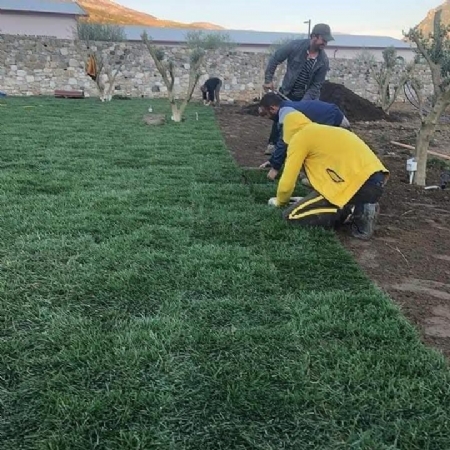 Foto 4 - Vellezerit Subashi, ofrojme sherbime gjelbrimi, si Tapet bari natyral, mbjelljen e pemeve dekorative, shkurre,lule sezonale, sisteme ujites manual dhe automatic, etct 